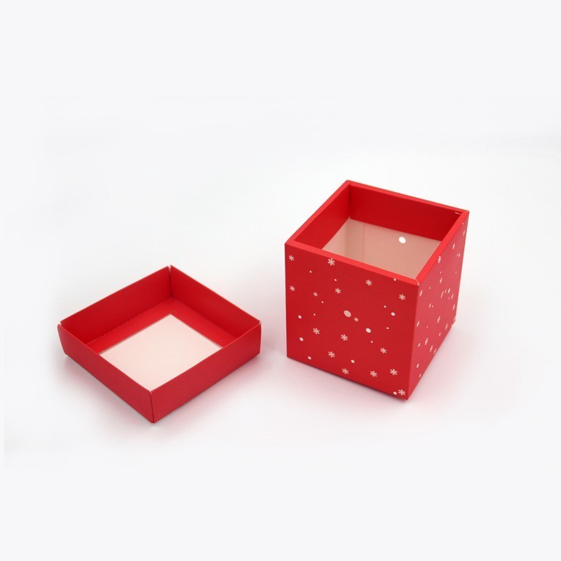 Boîte cadeau Apple écologique de la veille de Noël Recyclable et CMYK 4 couleurs